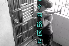 遂溪工资清欠服务